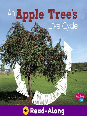 cover image of An Apple Tree's Life Cycle